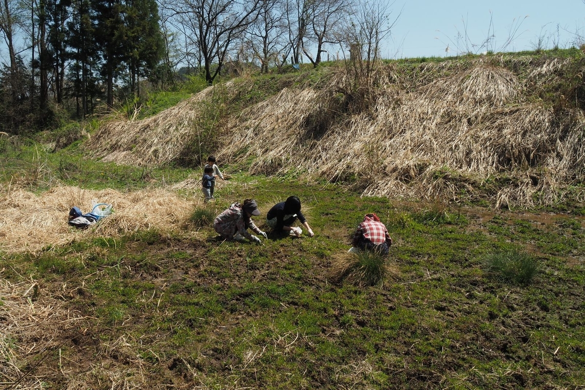 f:id:wassy1974:20190509081510j:plain f:id:wassy1974:20190509081510j:plain