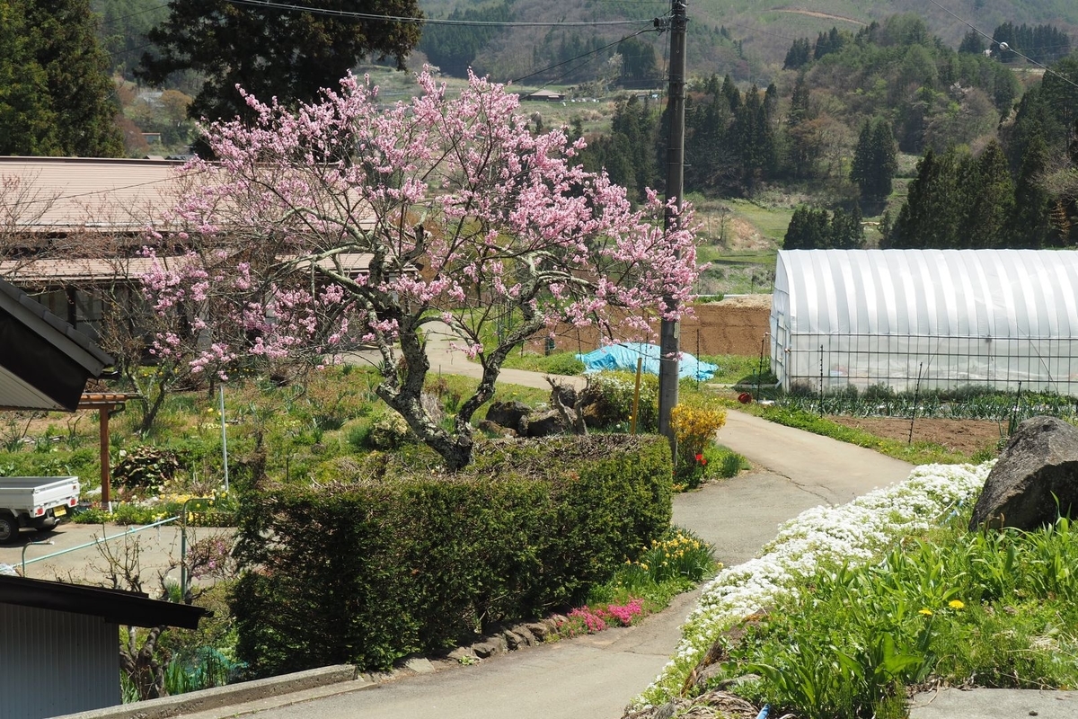 f:id:wassy1974:20190509081534j:plain f:id:wassy1974:20190509081534j:plain