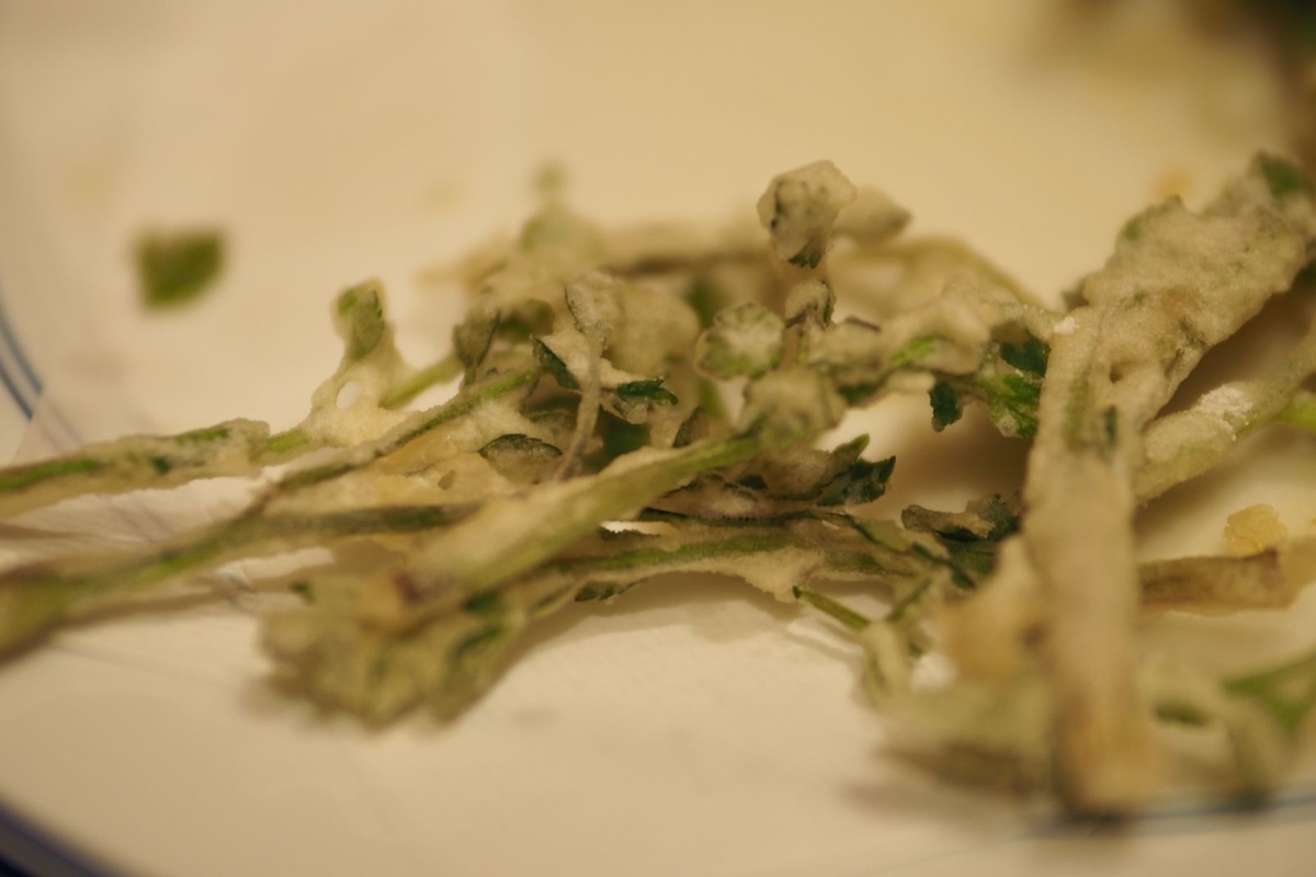 f:id:wassy1974:20190509082101j:plain f:id:wassy1974:20190509082101j:plain