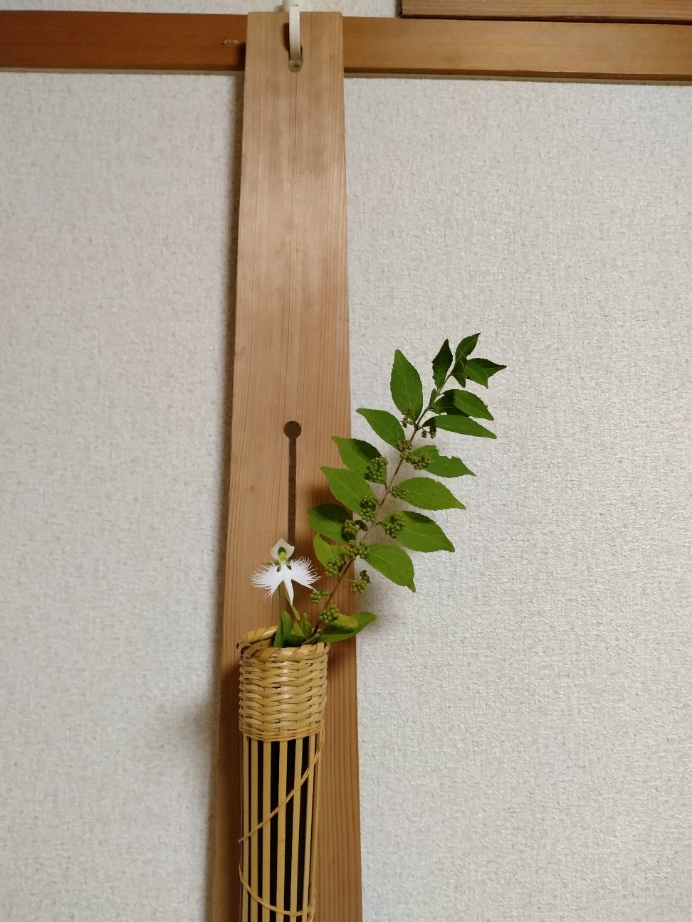 f:id:wasure-mizu:20260822183949j:image f:id:wasure-mizu:20260822183949j:image