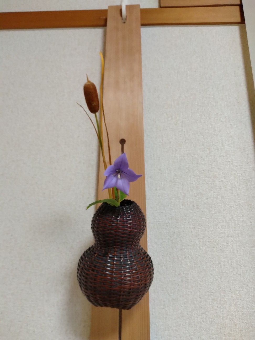f:id:wasure-mizu:20260827232247j:image f:id:wasure-mizu:20260827232247j:image