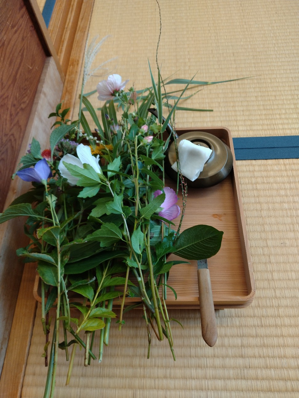 f:id:wasure-mizu:20260831001517j:image f:id:wasure-mizu:20260831001517j:image
