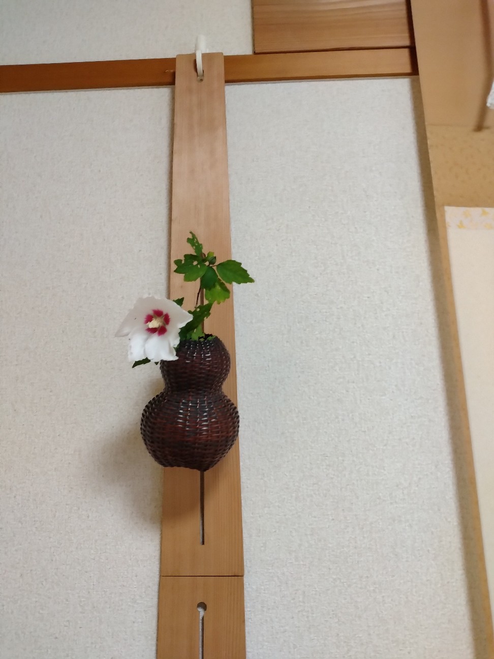 f:id:wasure-mizu:20260912225146j:image f:id:wasure-mizu:20260912225146j:image