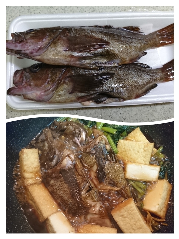 ガヤの煮付けと今日の弁当 エレクトロニック ハラスメント テクノロジー犯罪 16 19 08yahoo ブログ記録