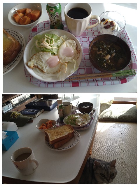 f:id:wasurenagusa7531kuma:20231121191125j:image f:id:wasurenagusa7531kuma:20231121191125j:image