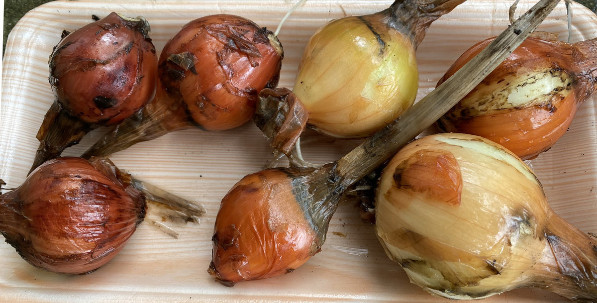 芯編 玉ねぎ 簡単 食べ終わった 玉ねぎ の 芯を 植えて 栽培 初心者 再生野菜 リボベジ 家庭菜園 Me日々のメモmo