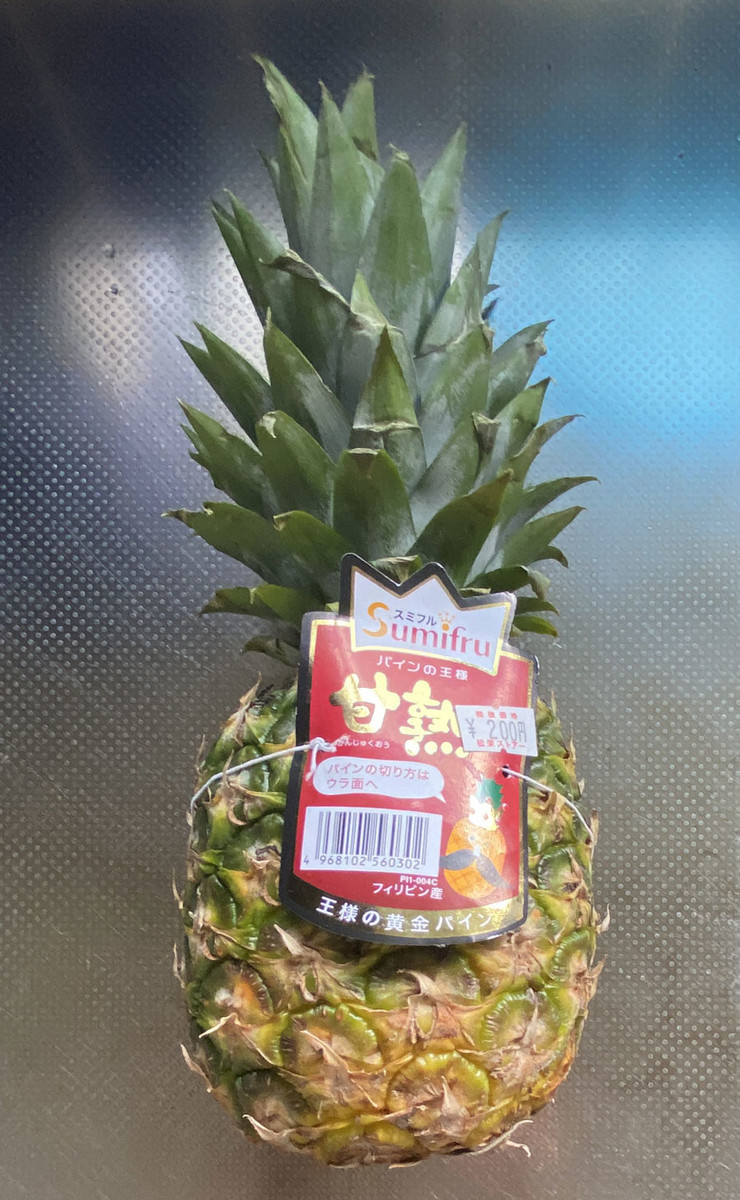 芯編】【パイナップル】食べ終わった パイナップルの 芯を 植え