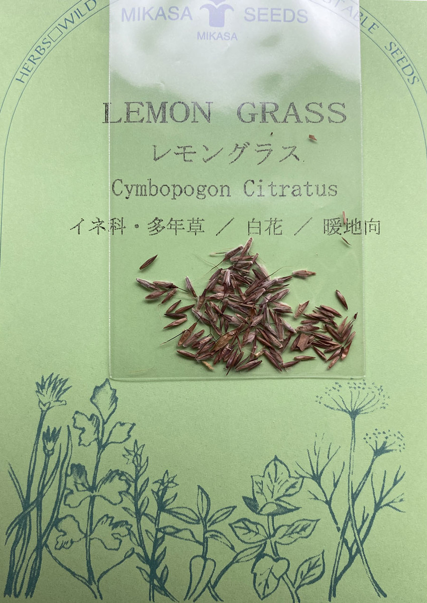 ハーブ レモングラス 種から栽培日記 1袋目 21年 22年 種を捨てないで植えてみるブログ