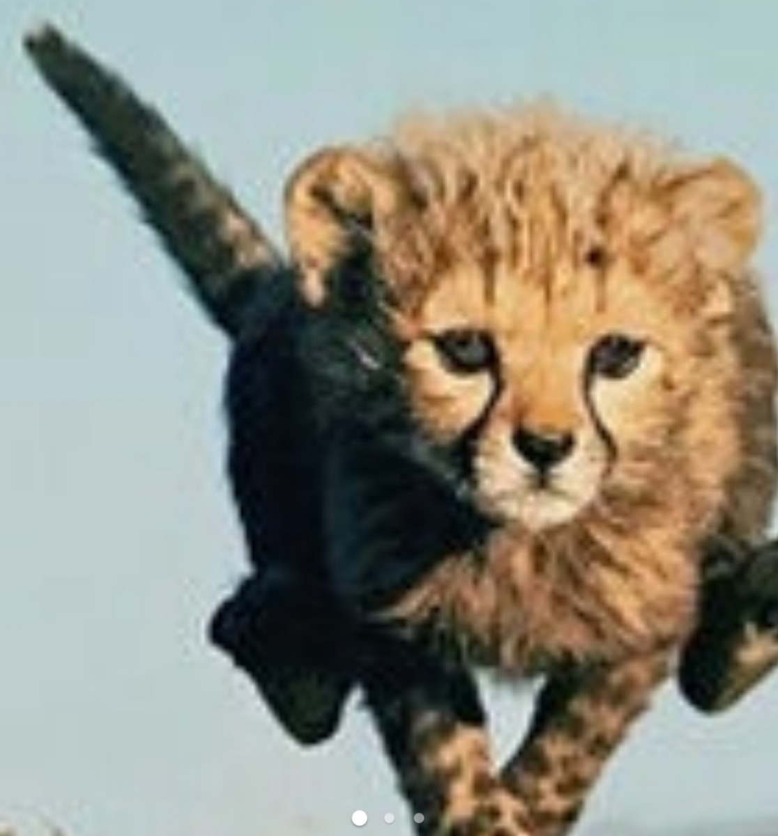 f:id:wata18saki:20200902171926j:plain