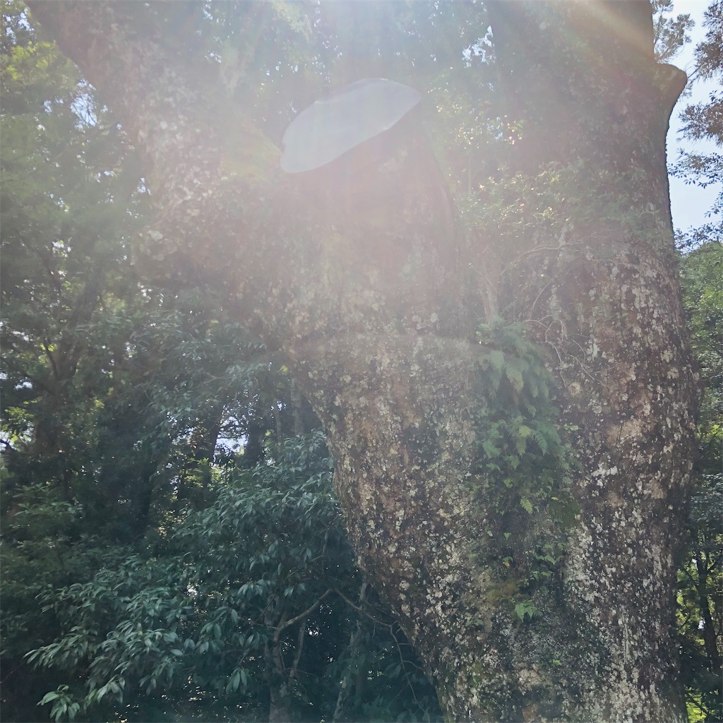 f:id:wata443:20190814093133j:plain