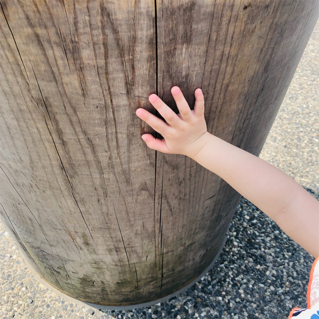 f:id:wata443:20190814093210j:plain