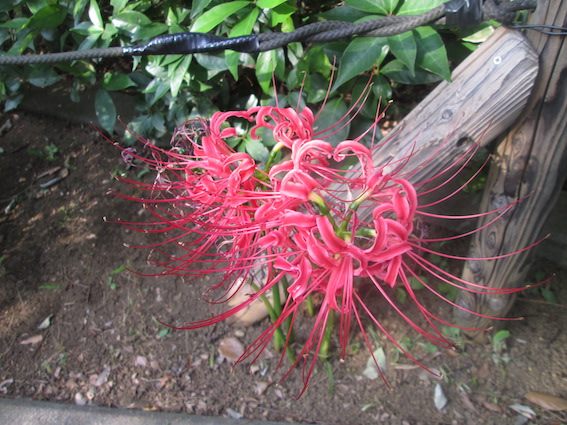 f:id:watabara:20191105122033j:plain f:id:watabara:20191105122033j:plain