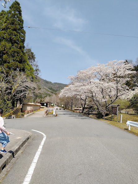 f:id:watabaru:20220417205928j:plain