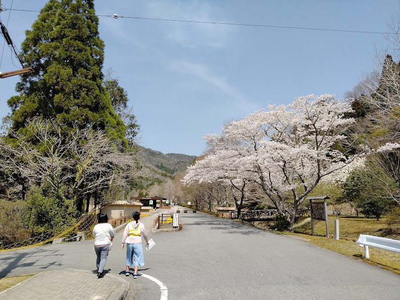 f:id:watabaru:20220417210013j:plain