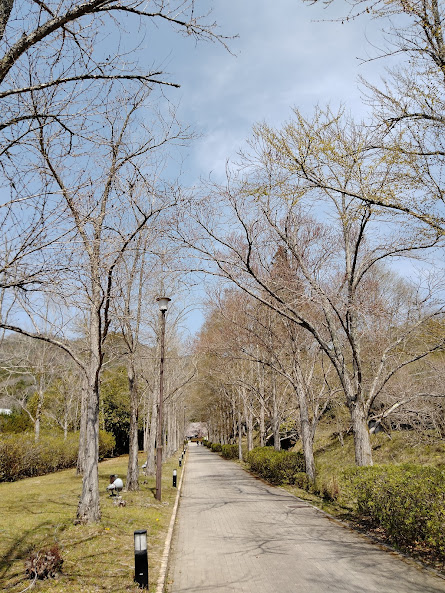 f:id:watabaru:20220417212917j:plain