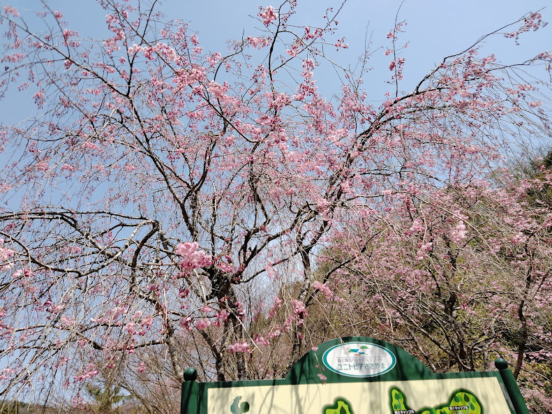 f:id:watabaru:20220417213025j:plain