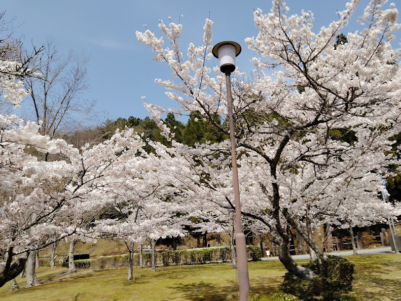 f:id:watabaru:20220417213226j:plain