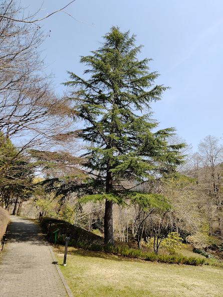 f:id:watabaru:20220417213306j:plain