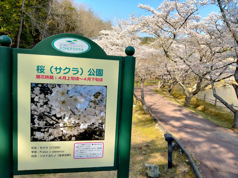 f:id:watabaru:20220417214037j:plain