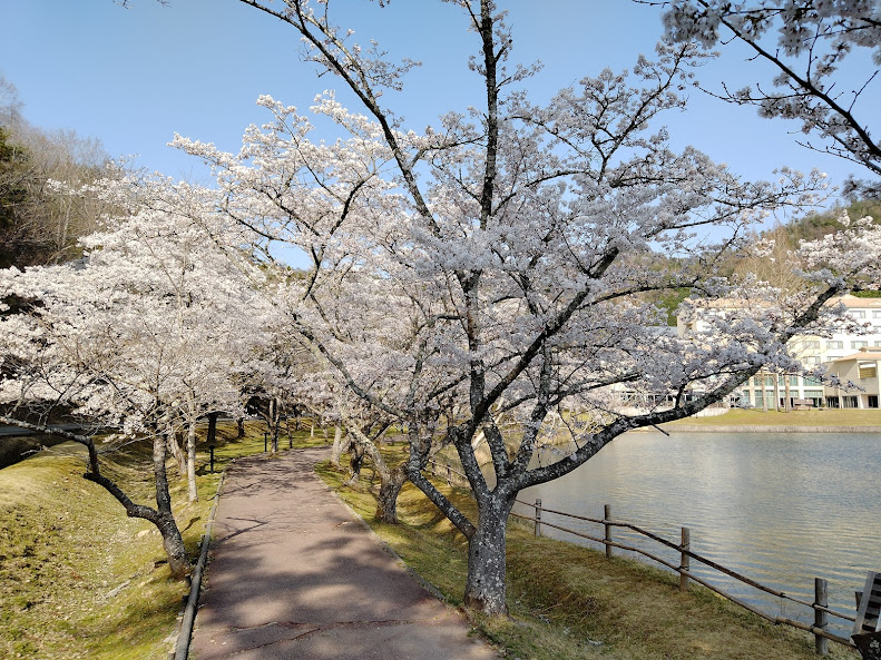 f:id:watabaru:20220417214048j:plain