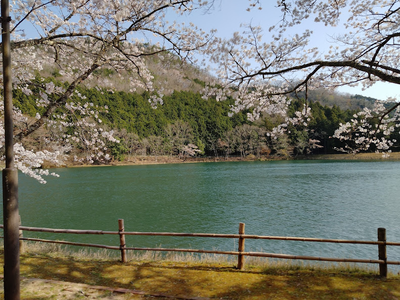 f:id:watabaru:20220417214210j:plain