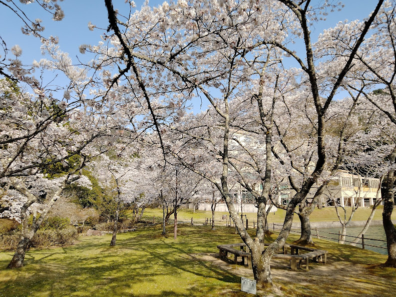f:id:watabaru:20220417214225j:plain