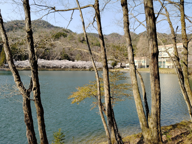 f:id:watabaru:20220417214250j:plain