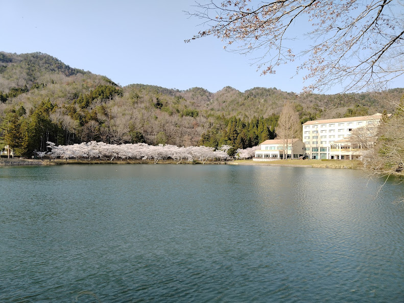 f:id:watabaru:20220417214319j:plain