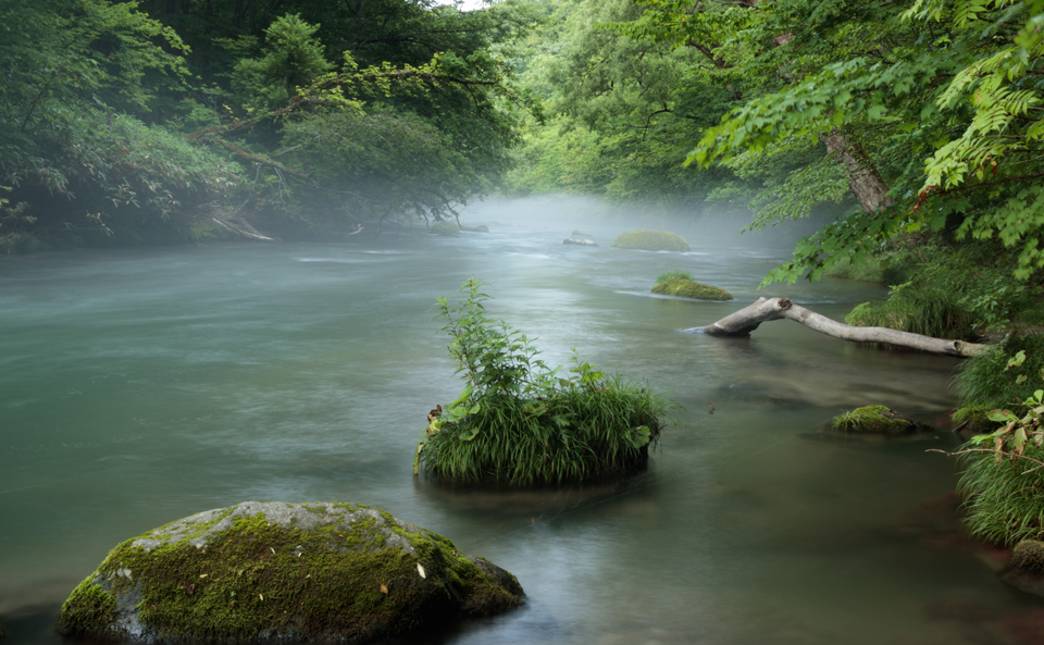 霧に包まれた奥入瀬渓流・八甲田山 - 日々の暮らしと建築と