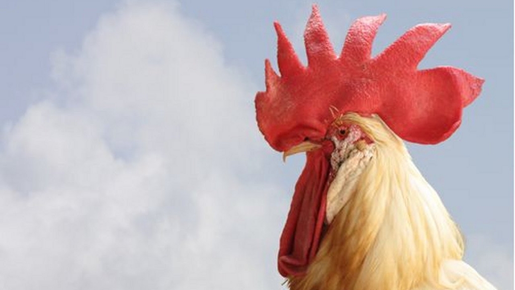 f:id:watabe1028:20170105155205j:plain f:id:watabe1028:20170105155205j:plain