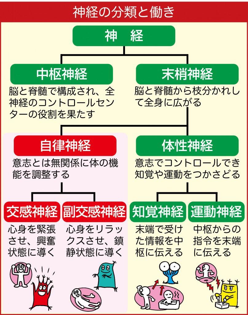 自律神経の乱れを治す方法 自律神経の乱れに効くサプリや本も アラサーだってピンクが着たい