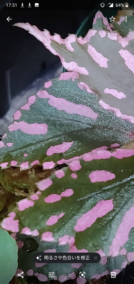 f:id:watakaw:20190926195907j:plain f:id:watakaw:20190926195907j:plain