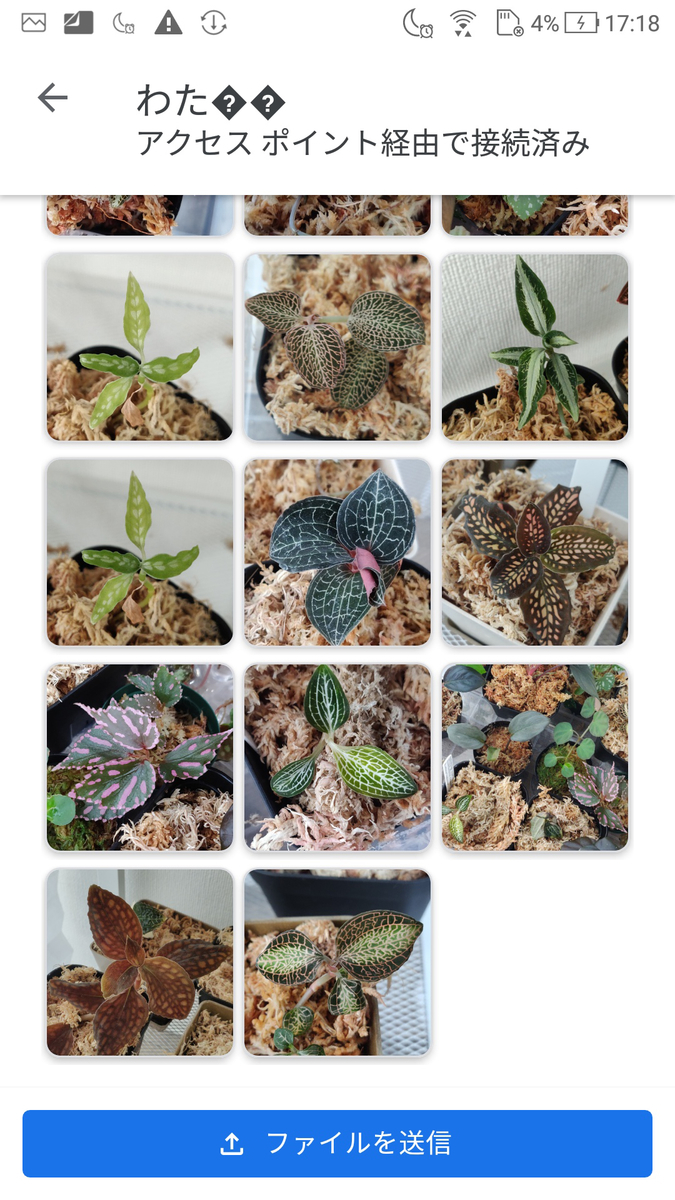 f:id:watakaw:20190926202203j:plain f:id:watakaw:20190926202203j:plain