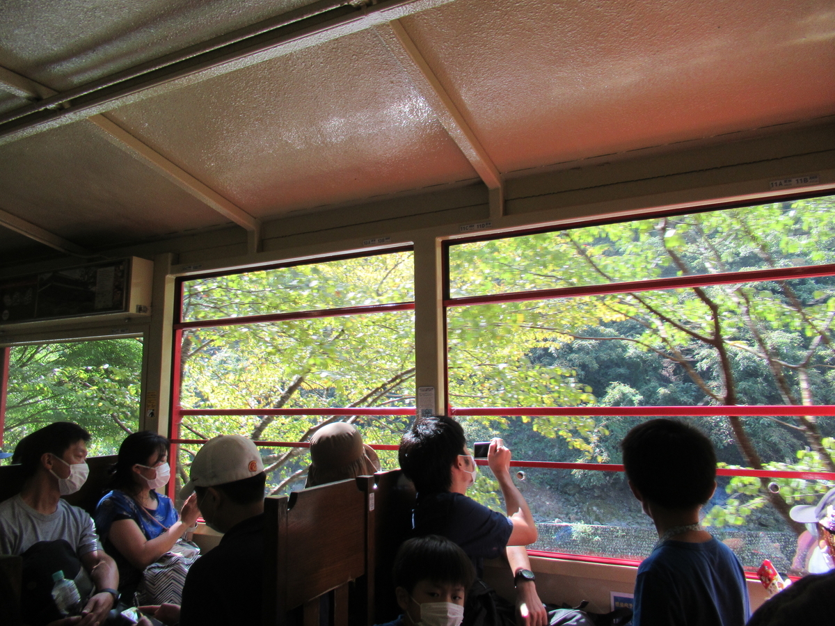f:id:watakawa:20201111124517j:plain f:id:watakawa:20201111124517j:plain