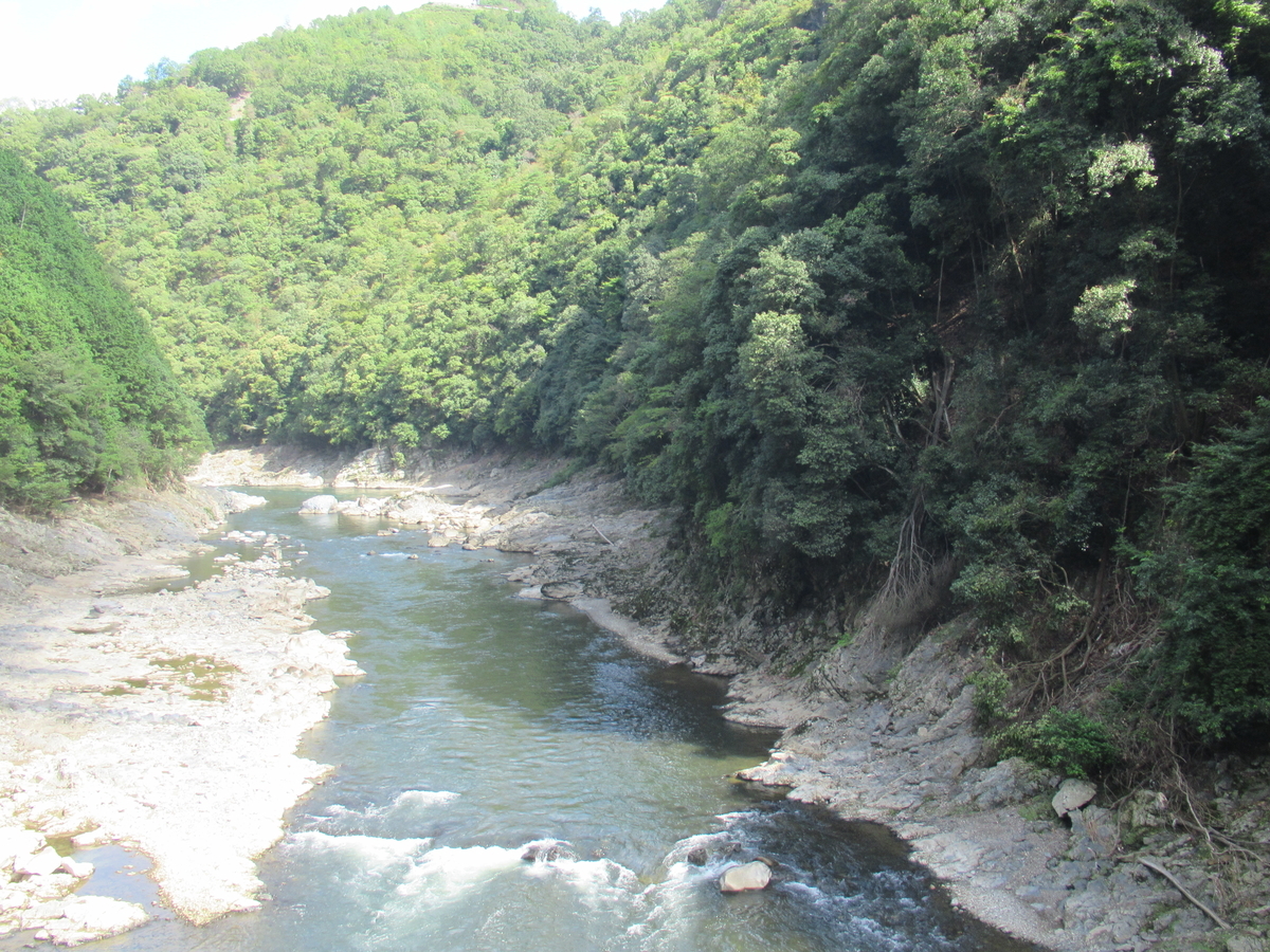 f:id:watakawa:20201111124826j:plain f:id:watakawa:20201111124826j:plain