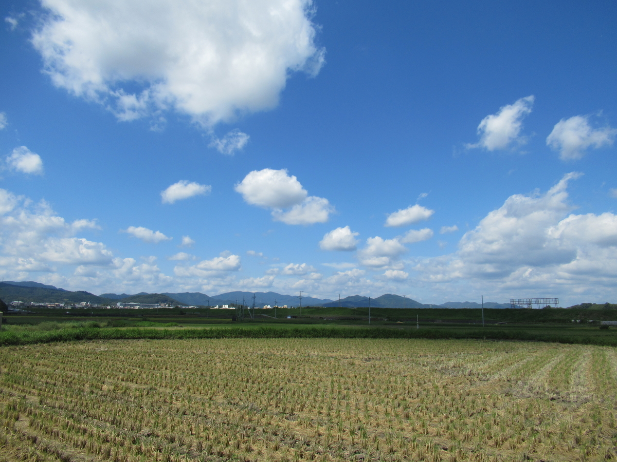 f:id:watakawa:20201111133225j:plain f:id:watakawa:20201111133225j:plain