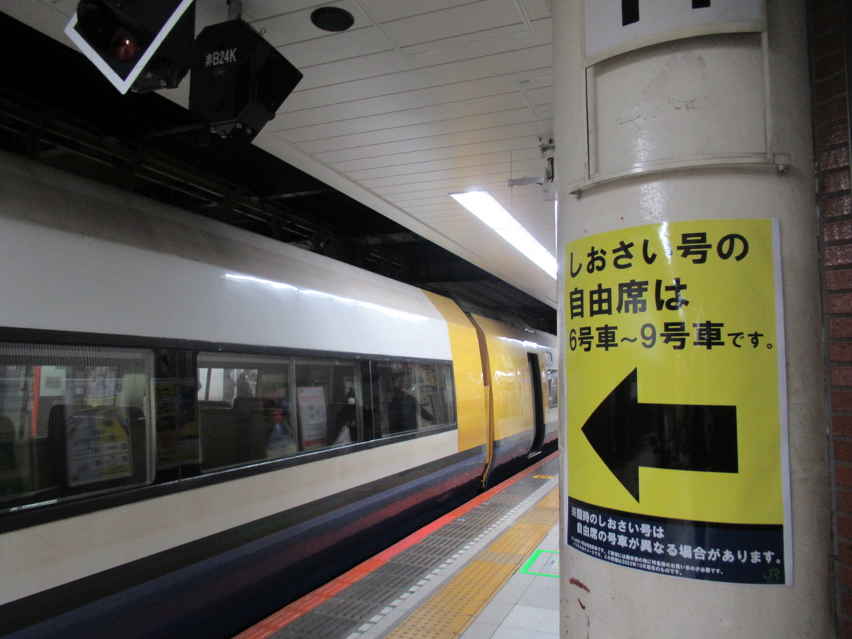最後の砦】普通列車グリーン車よりも安くて速い！ 特急しおさい号自由