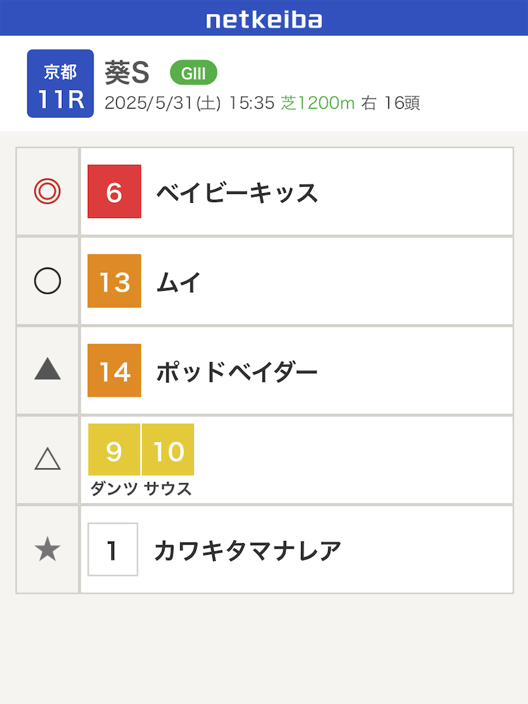 f:id:watakichi_keiba:20250530205050p:image