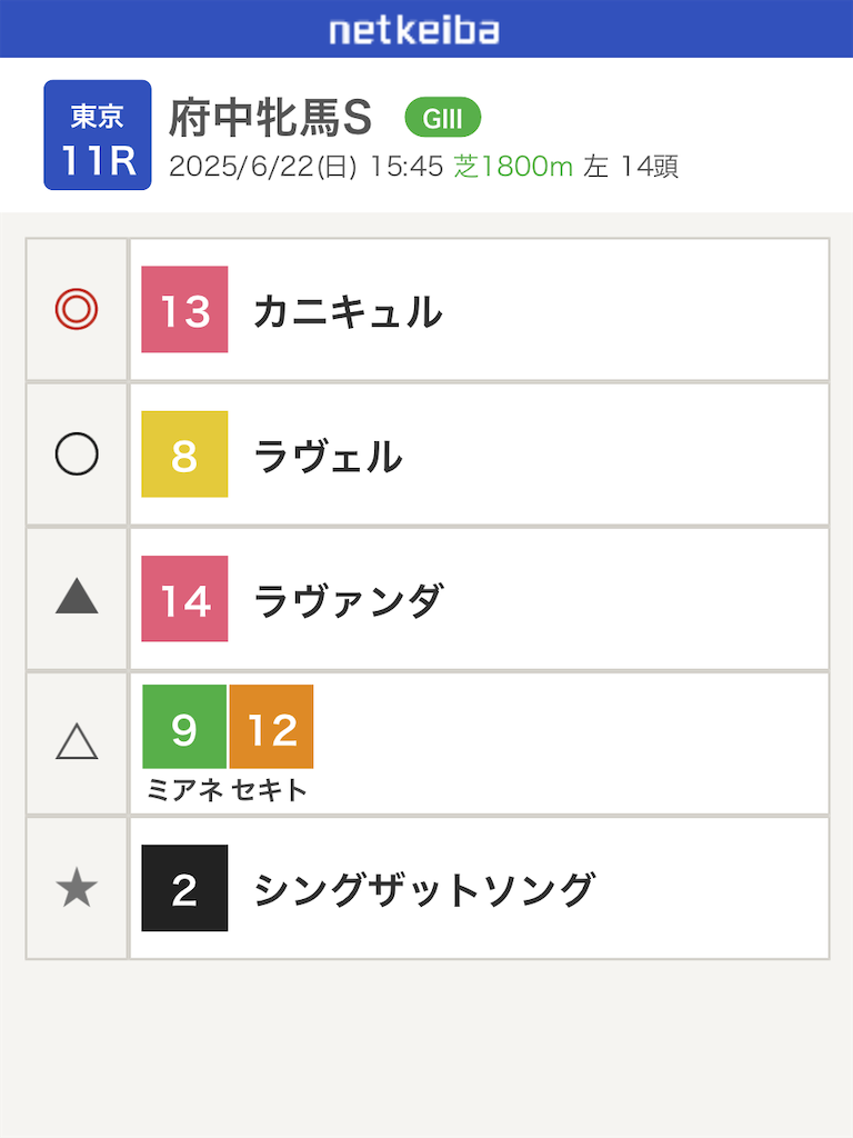 f:id:watakichi_keiba:20250621211309p:image