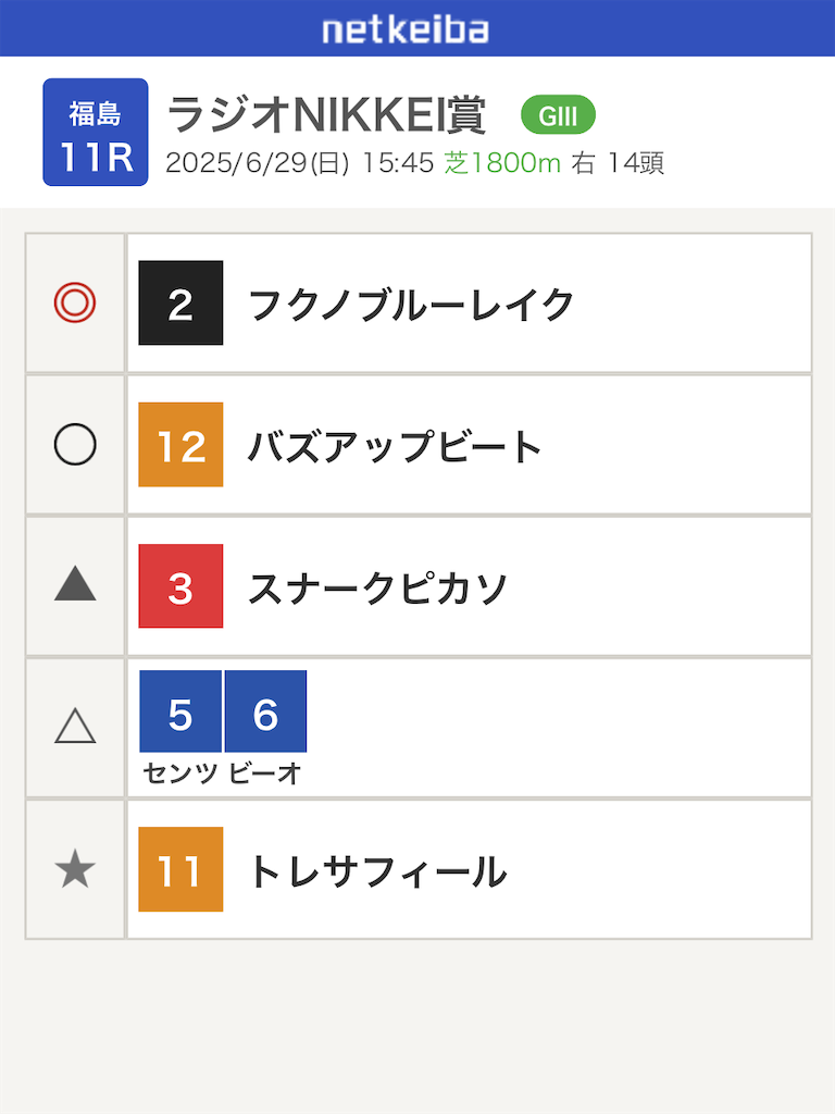 f:id:watakichi_keiba:20250628203127p:image