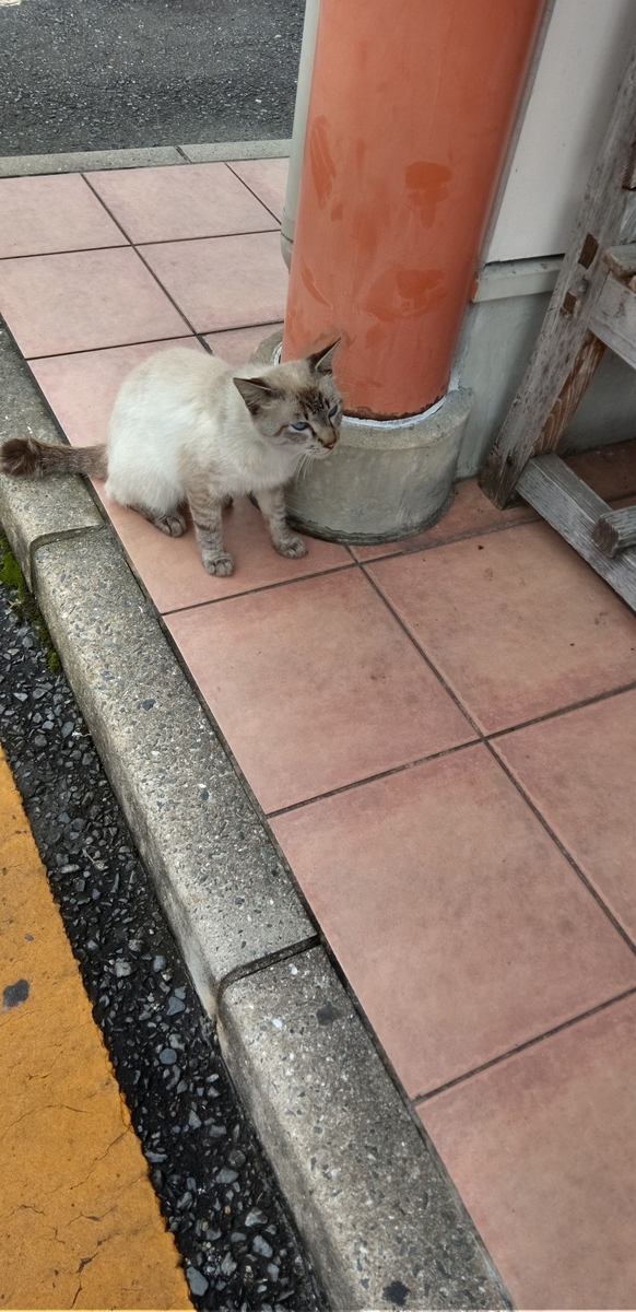 f:id:watamushi:20210903184432j:plain