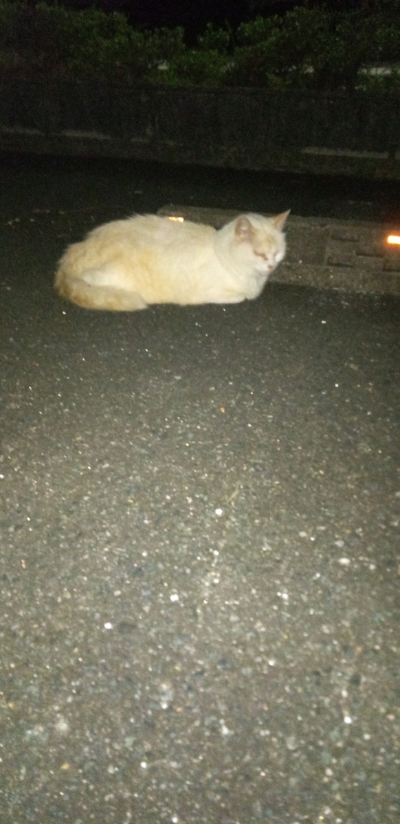 f:id:watamushi:20210928105555j:plain