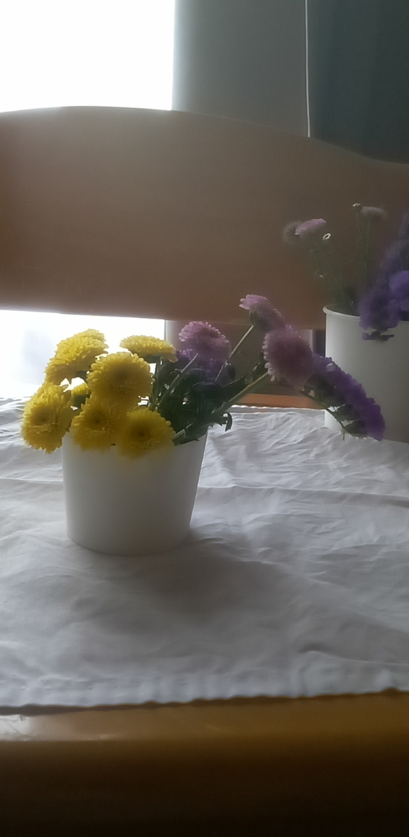 f:id:watamushi:20211124144721j:plain