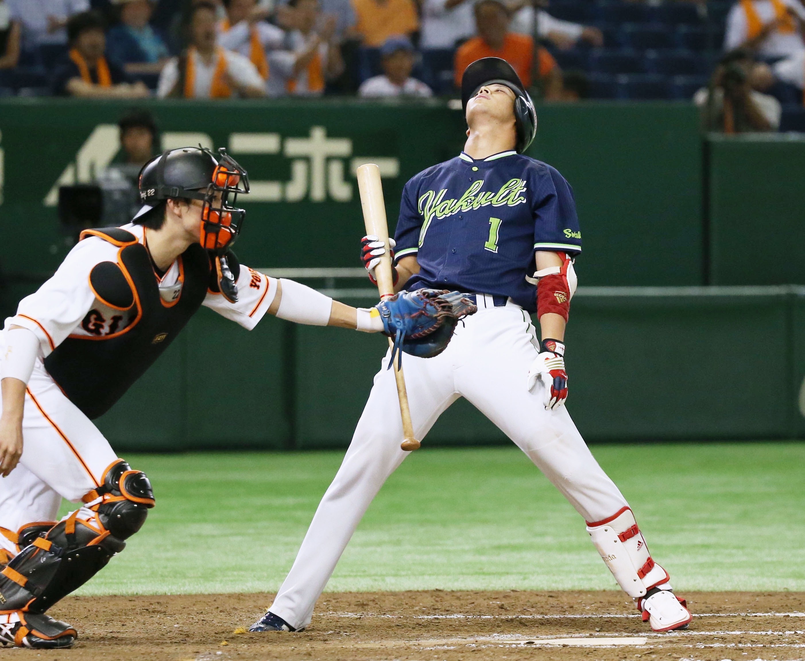 f:id:watanabe3121:20180219155655j:image
