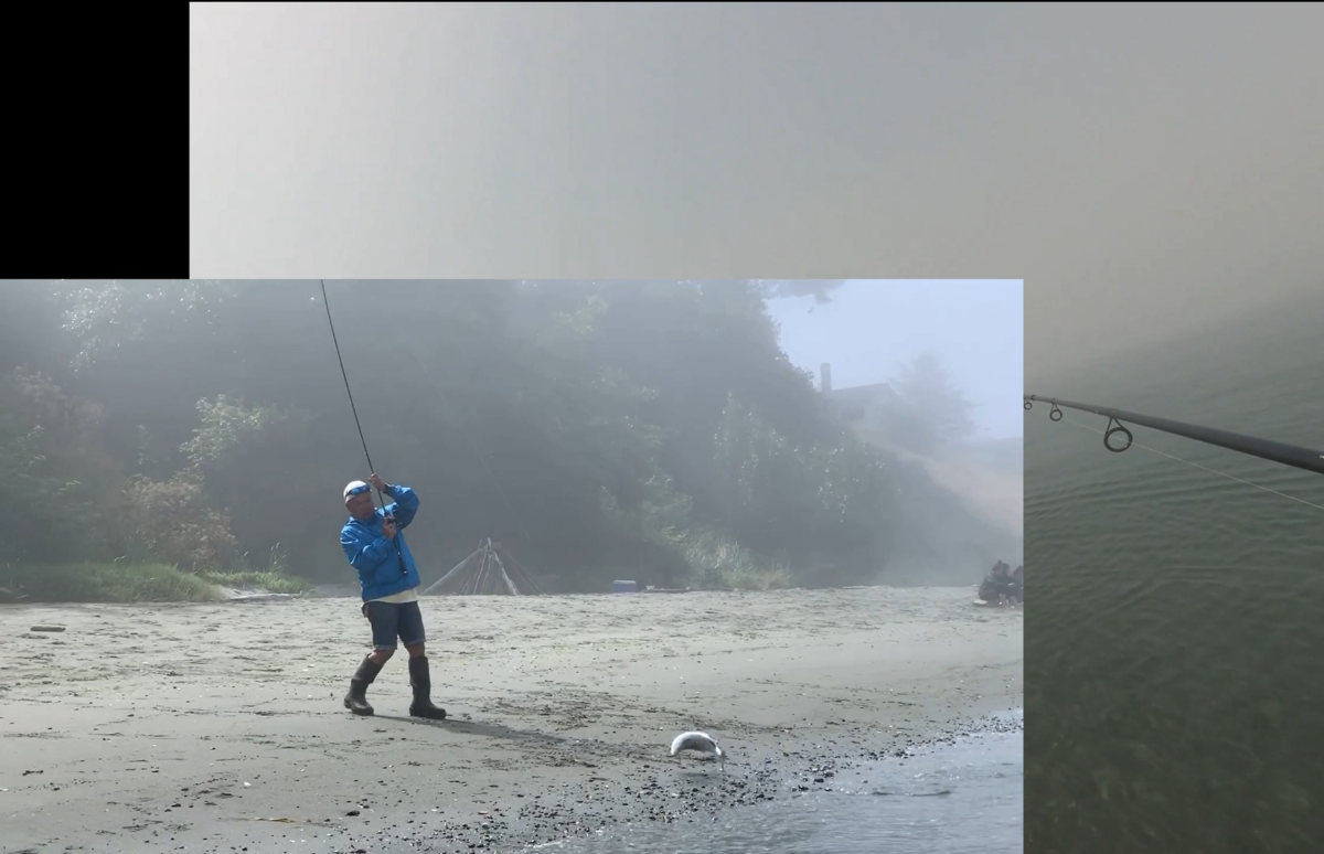 f:id:watanabe_tsuyoshi:20190909125201p:plain