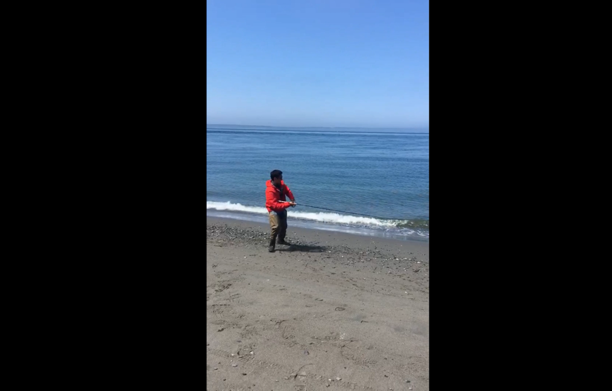 f:id:watanabe_tsuyoshi:20190909130151p:plain