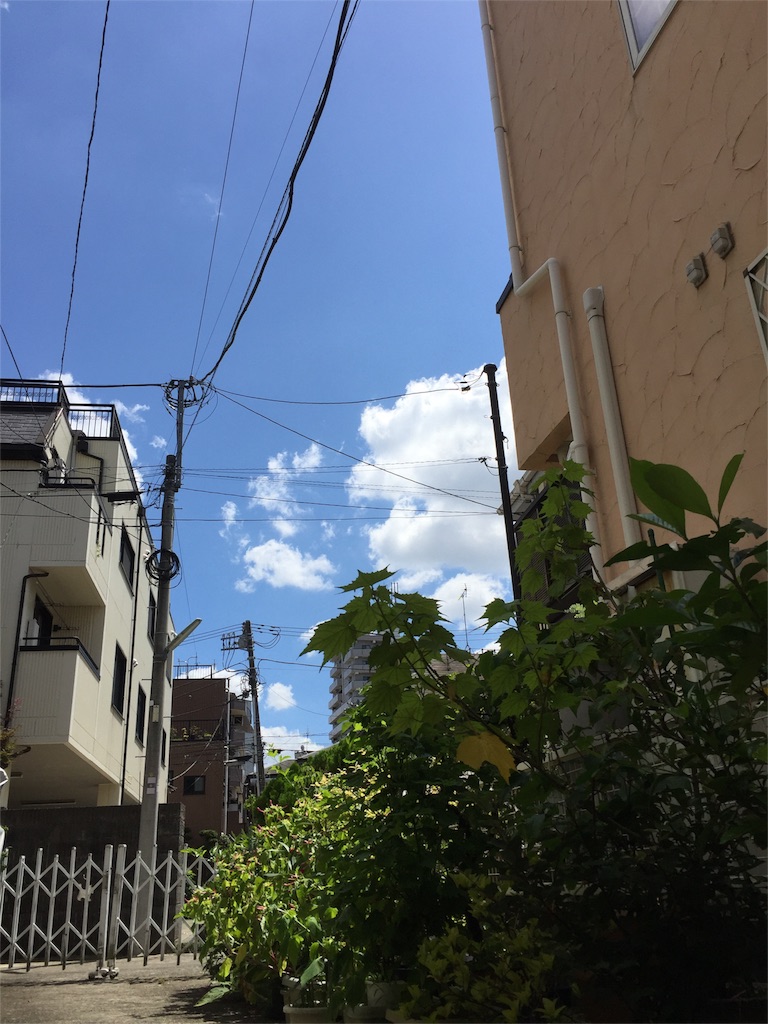 f:id:watanabecook:20160808095519j:image