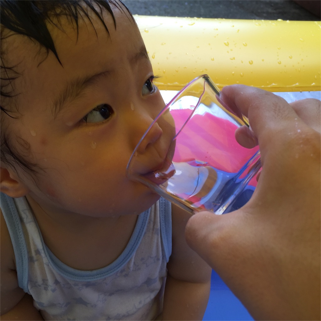 f:id:watanabecook:20160808095536j:image