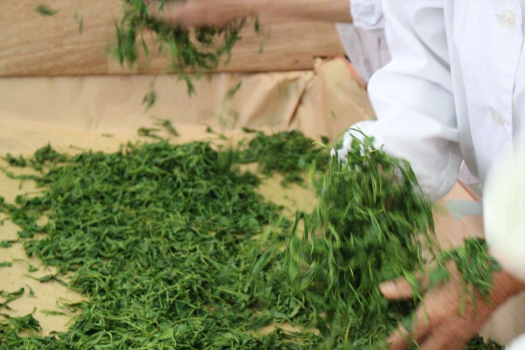 f:id:watanabecook:20161029001033j:plain