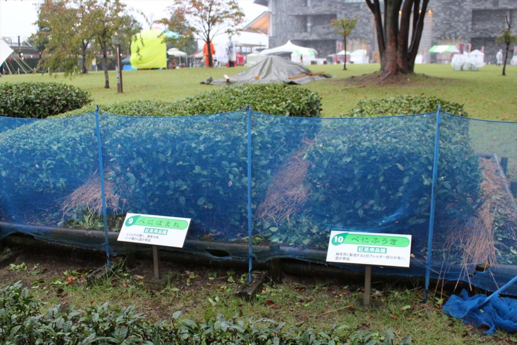 f:id:watanabecook:20161029001549j:plain